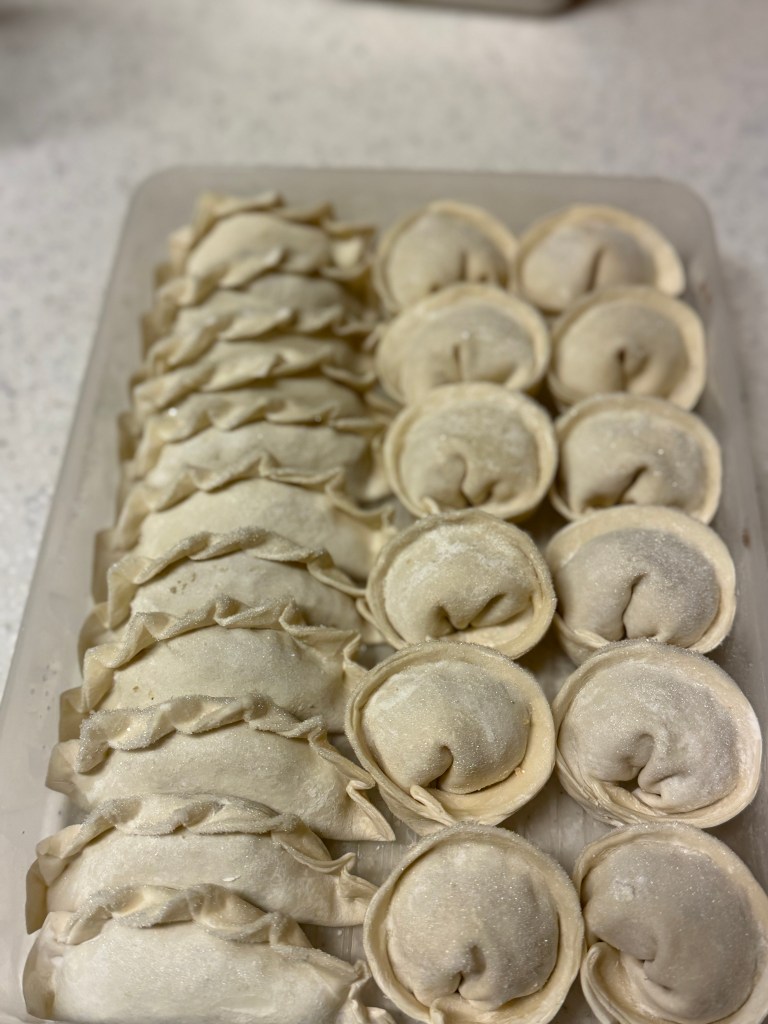 A tray of uncooked dumplings arranged neatly, featuring a variety of folded shapes.