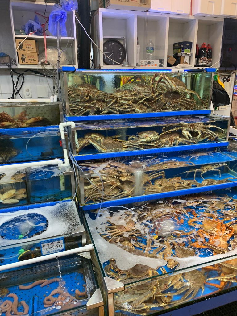 Huge, fresh king crabs displayed in a large aquarium at a market stall.