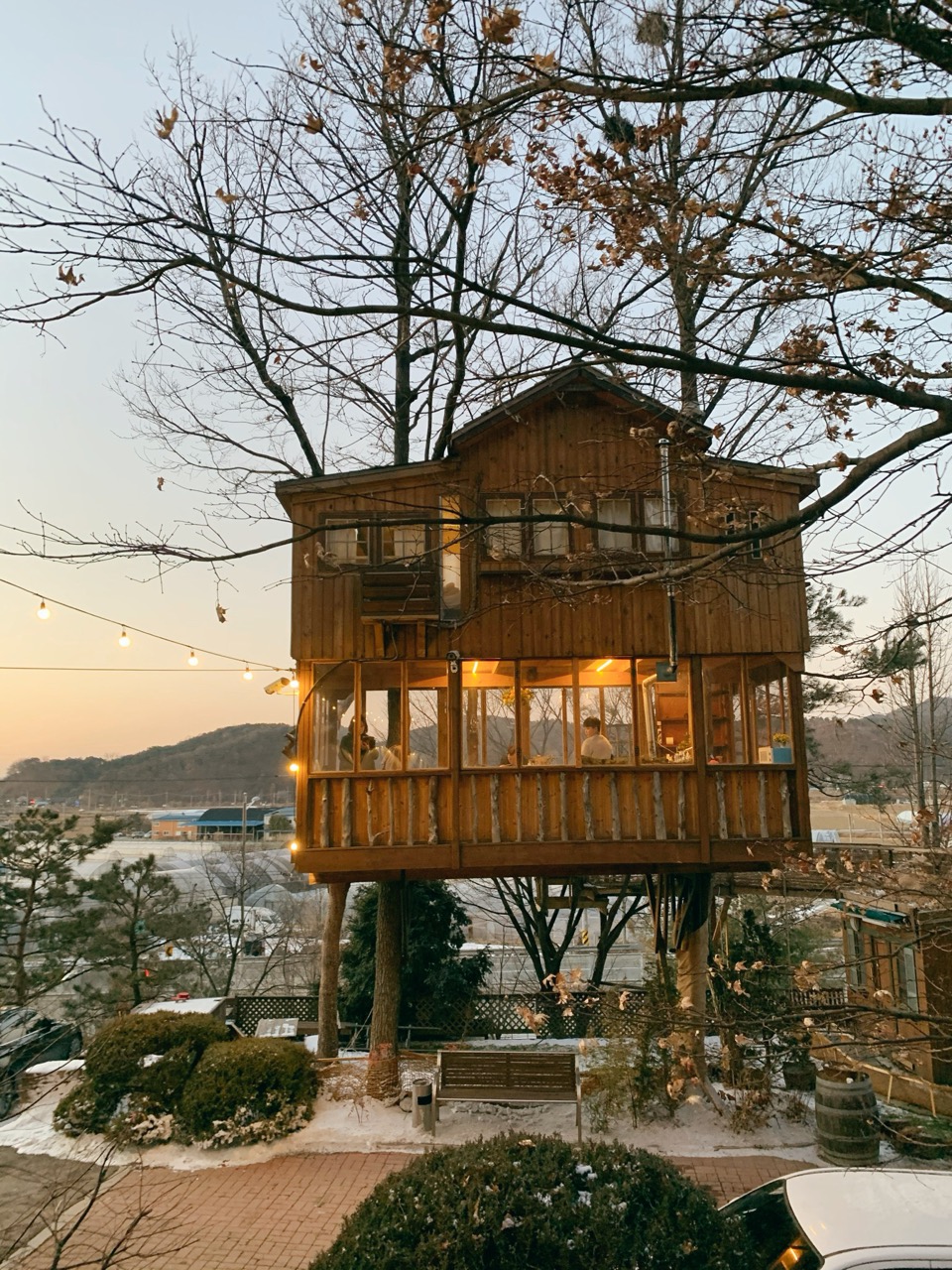 The Ultimate Seoul Day Trip: Fairy Tale Treehouse & Hip Coffee