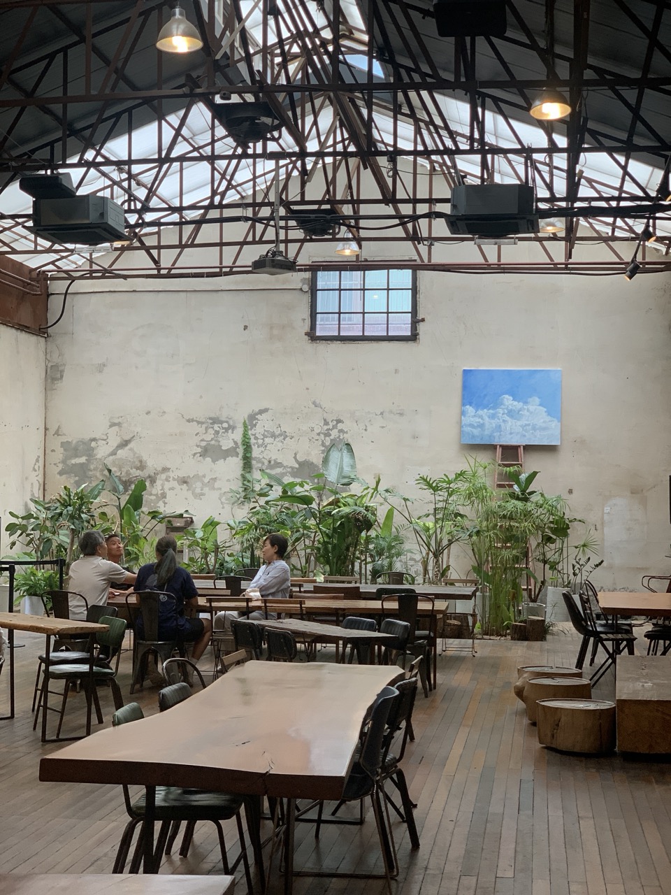 Beautiful mature indoor trees growing towards the skylight, contrasting with the raw industrial concrete aesthetics.