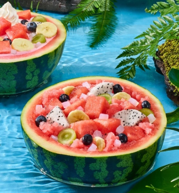 A high-satisfaction overhead shot of a refreshing bowl of Korean watermelon punch with clear ice blocks