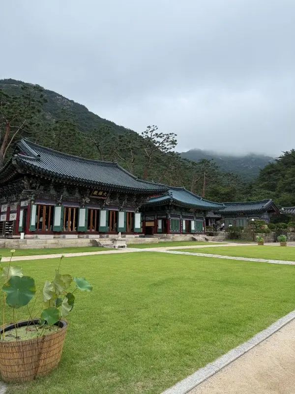 A detailed macro shot capturing traditional Korean wooden architecture and colorful Dancheong paint inside Jingwansa.